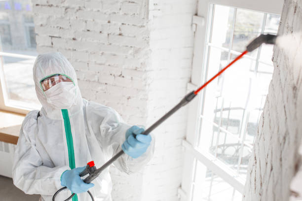 Best Mold Prevention Services  in West Park, CA