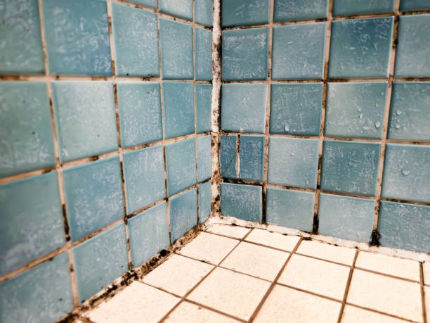Best Residential Mold Inspection & Testing  in West Park, CA