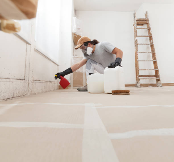 Reliable West Park, CA Mold Removal Solutions